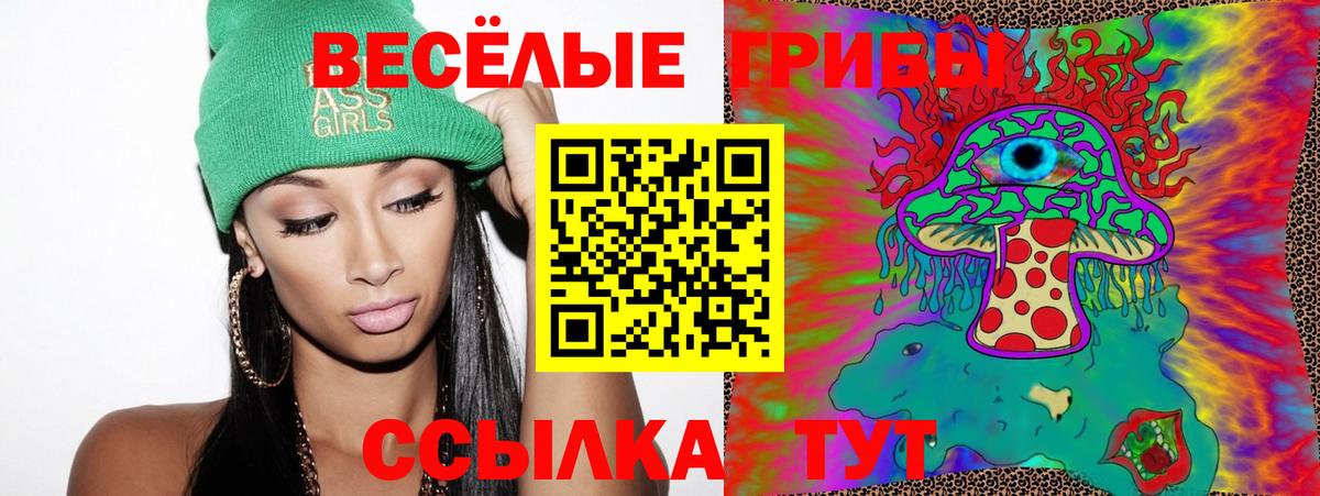 Псилоцибиновые грибы Cubensis  Вход с VPN  Новосибирск 